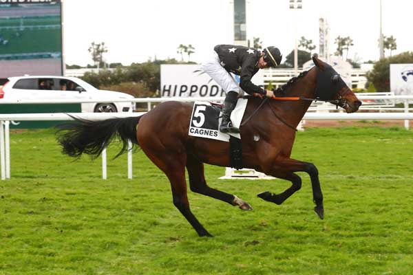 Photo d'arrivée de la course pmu PRIX LORD DU SUD à CAGNES-SUR-MER le Lundi 10 février 2025