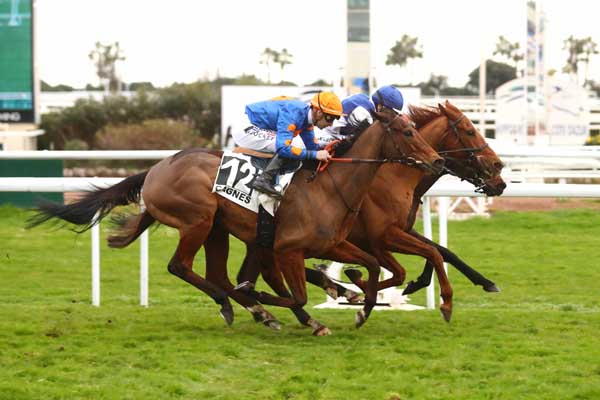 Photo d'arrivée de la course pmu PRIX DE VINTIMILLE à CAGNES-SUR-MER le Lundi 10 février 2025