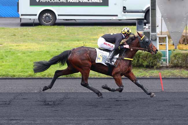 Photo d'arrivée de la course pmu PRIX DE FALOT à PARIS-VINCENNES le Mardi 11 février 2025