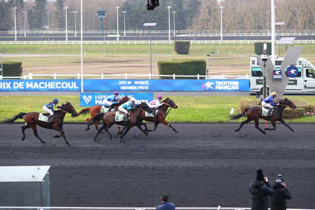 Photo d'arrivée de la course pmu PRIX DE MACHECOUL à PARIS-VINCENNES le Mardi 11 février 2025
