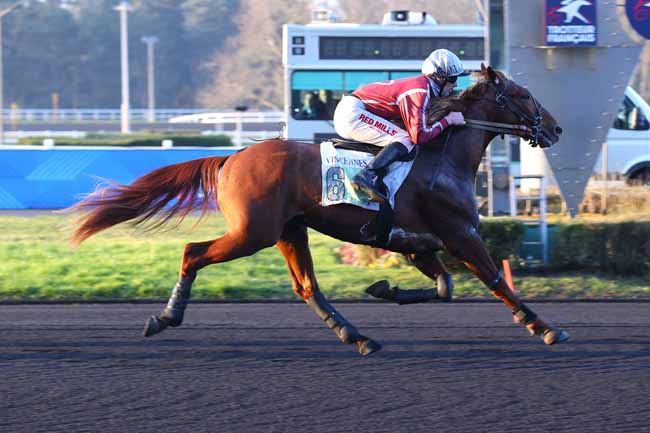 Photo d'arrivée de la course pmu PRIX EDOUARD MARCILLAC à PARIS-VINCENNES le Vendredi 14 février 2025