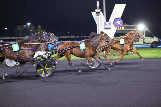 Photo d'arrivée de la course pmu PRIX DE BOIS-LE-ROI à PARIS-VINCENNES le Vendredi 14 février 2025