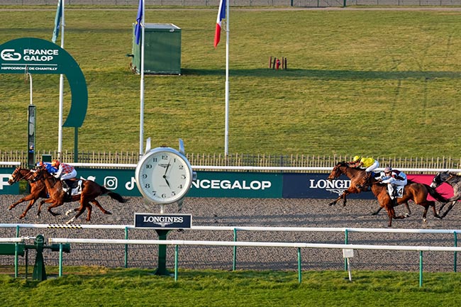 Photo d'arrivée de la course pmu PRIX DE LA ROUTE DES GRANDS CHENES à CHANTILLY le Vendredi 14 février 2025