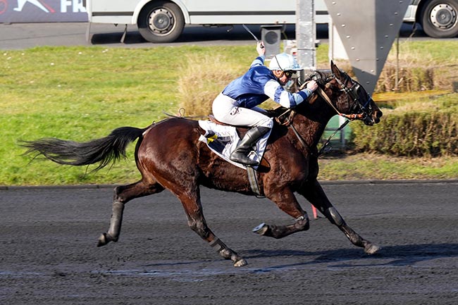 Photo d'arrivée de la course pmu PRIX DU PONTAVICE DE HEUSSEY à PARIS-VINCENNES le Dimanche 16 février 2025