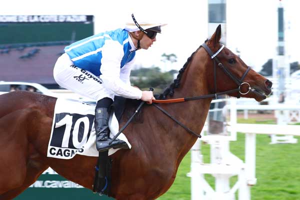 Photo d'arrivée de la course pmu PRIX JEAN MASSARD à CAGNES-SUR-MER le Mercredi 19 février 2025