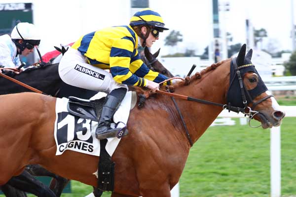Photo d'arrivée de la course pmu PRIX DE VICHY à CAGNES-SUR-MER le Mercredi 19 février 2025