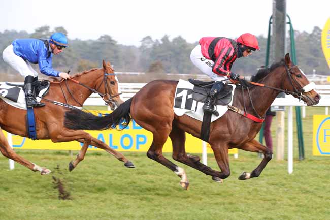 Photo d'arrivée de la course pmu PRIX DES HARAS NATIONAUX à FONTAINEBLEAU le Mercredi 19 février 2025