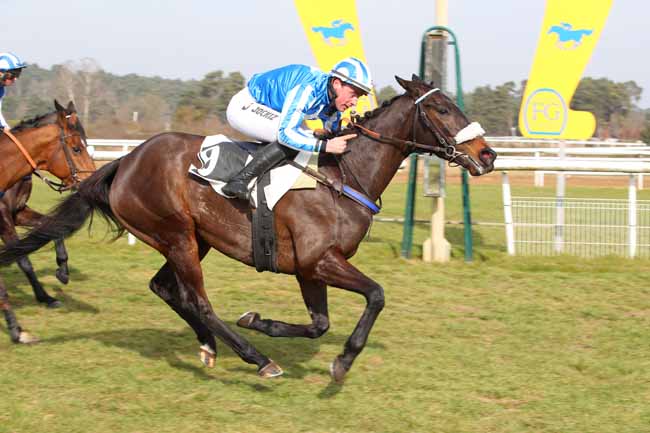 Photo d'arrivée de la course pmu PRIX DU CONSEIL MUNICIPAL DE CHAILLY-EN-BIERE à FONTAINEBLEAU le Mercredi 19 février 2025