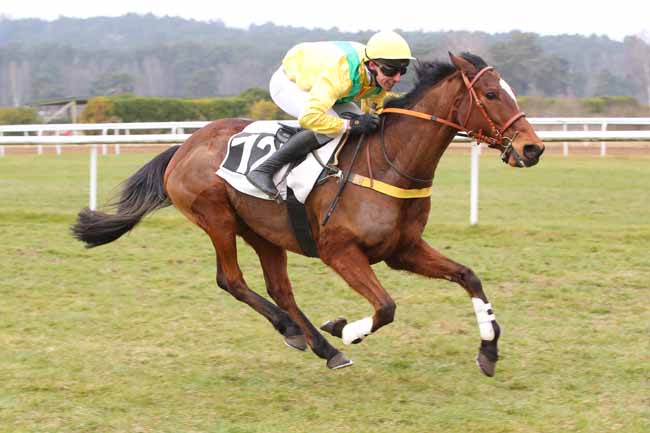 Photo d'arrivée de la course pmu PRIX ANNELISE REINBOLD à FONTAINEBLEAU le Mercredi 19 février 2025