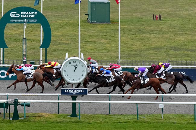 Photo d'arrivée de la course pmu PRIX DE LA MARE DU MONT ALTA à CHANTILLY le Jeudi 20 février 2025