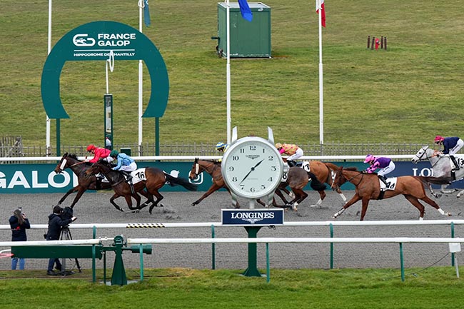 Photo d'arrivée de la course pmu PRIX DE LA MARE DES SOTS à CHANTILLY le Jeudi 20 février 2025