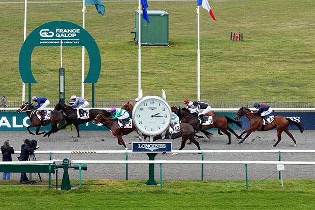 Photo d'arrivée de la course pmu PRIX DE L'ALLEE DU PONT AU ROI à CHANTILLY le Jeudi 20 février 2025