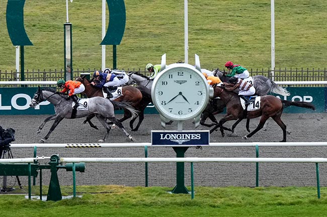 Photo d'arrivée de la course pmu PRIX DE L'ALLEE DES PHILOSOPHES à CHANTILLY le Jeudi 20 février 2025