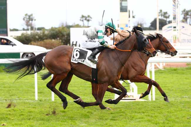 Arrivée quinté pmu PRIX RAUBA CAPEU à CAGNES-SUR-MER