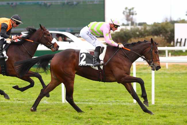 Photo d'arrivée de la course pmu PRIX DES SEMBOULES à CAGNES-SUR-MER le Mardi 25 février 2025