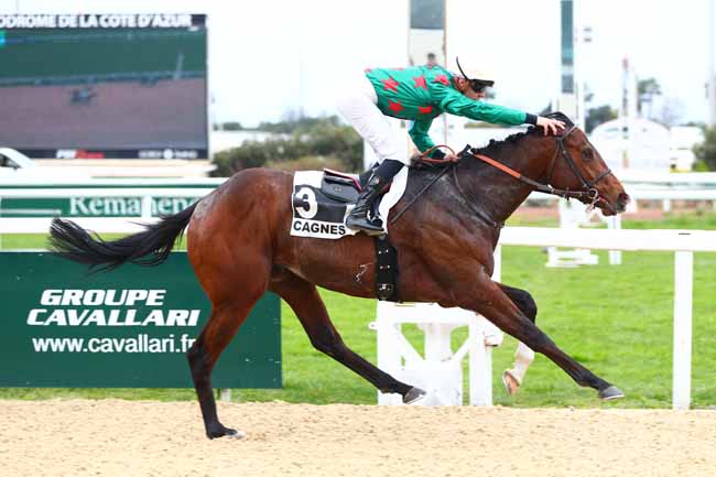 Photo d'arrivée de la course pmu PRIX DE PORQUEROLLES à CAGNES-SUR-MER le Mardi 25 février 2025