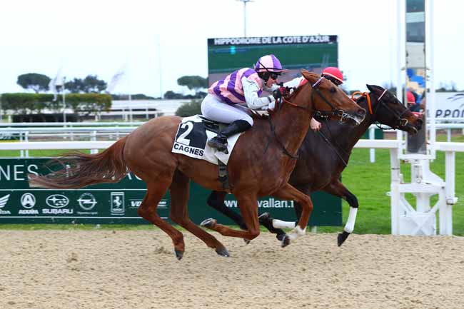 Photo d'arrivée de la course pmu PRIX SAINTE-MARGUERITE à CAGNES-SUR-MER le Mardi 25 février 2025