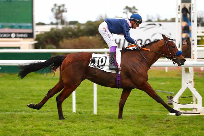 Photo d'arrivée de la course pmu PRIX JEAN-GABRIEL DOMERGUE à CAGNES-SUR-MER le Mardi 25 février 2025