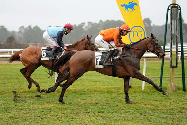 Photo d'arrivée de la course pmu PRIX DES DAGUETS à FONTAINEBLEAU le Mardi 25 février 2025