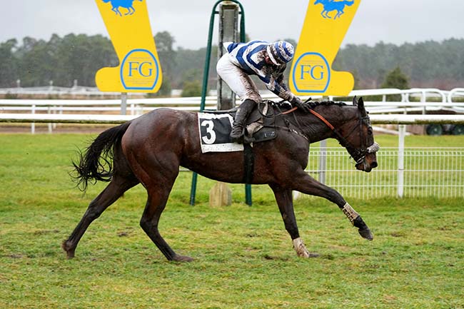 Photo d'arrivée de la course pmu PRIX DE LA SOCIETE DES COURSES DE DIEPPE à FONTAINEBLEAU le Mardi 25 février 2025