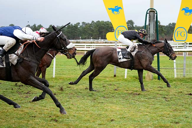 Photo d'arrivée de la course pmu PRIX JACQUES GELIOT à FONTAINEBLEAU le Mardi 25 février 2025