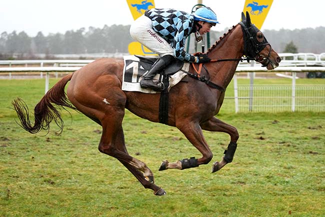 Photo d'arrivée de la course pmu PRIX DE BOULIGNY à FONTAINEBLEAU le Mardi 25 février 2025