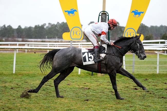 Photo d'arrivée de la course pmu PRIX DES HERONNIERES à FONTAINEBLEAU le Mardi 25 février 2025