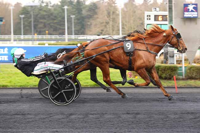 Photo d'arrivée de la course pmu PRIX EMILE ALLIX COURBOY à PARIS-VINCENNES le Vendredi 28 février 2025