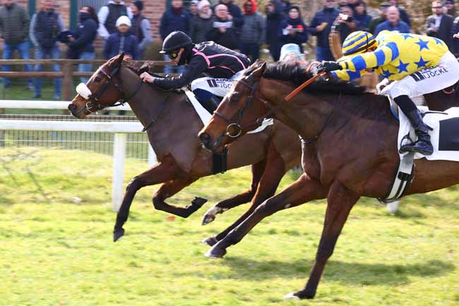 Photo d'arrivée de la course pmu PRIX DE SAMOREAU à FONTAINEBLEAU le Samedi 1 mars 2025