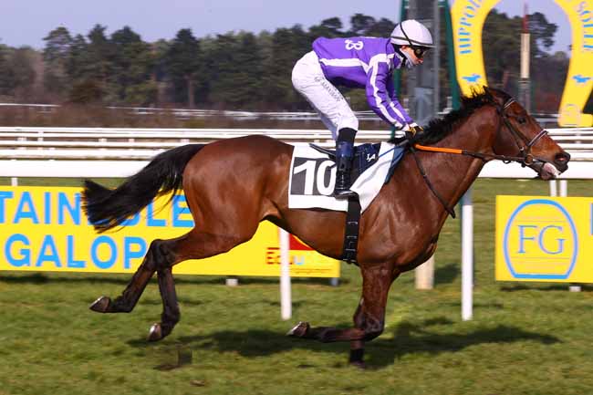 Photo d'arrivée de la course pmu PRIX DES CHARMES à FONTAINEBLEAU le Samedi 1 mars 2025