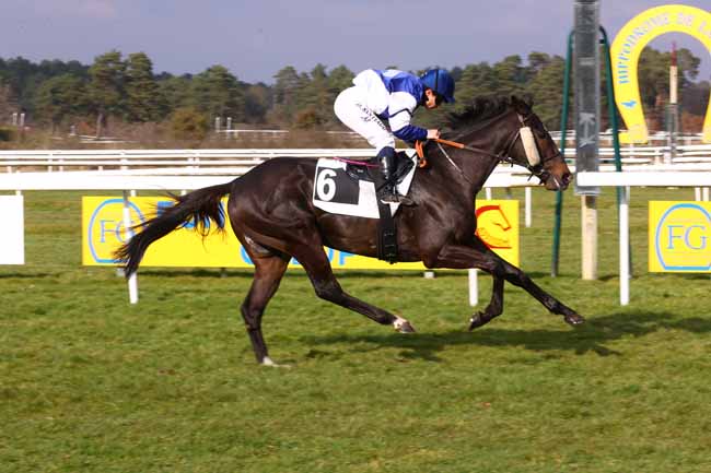 Photo d'arrivée de la course pmu PRIX GEORGES DERCOURT à FONTAINEBLEAU le Samedi 1 mars 2025