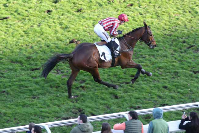 Photo d'arrivée de la course pmu PRIX D'INDY à AUTEUIL le Dimanche 2 mars 2025