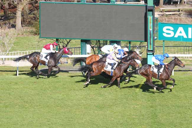 Photo d'arrivée de la course pmu PRIX ALTIPAN à SAINT CLOUD le Jeudi 6 mars 2025