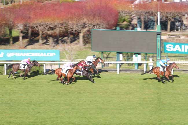 Photo d'arrivée de la course pmu PRIX DU POTAGER DU DAUPHIN à SAINT CLOUD le Jeudi 6 mars 2025