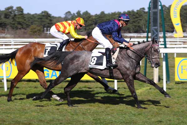 Photo d'arrivée de la course pmu PRIX DU ROCHER DE BOULIGNY à FONTAINEBLEAU le Vendredi 7 mars 2025