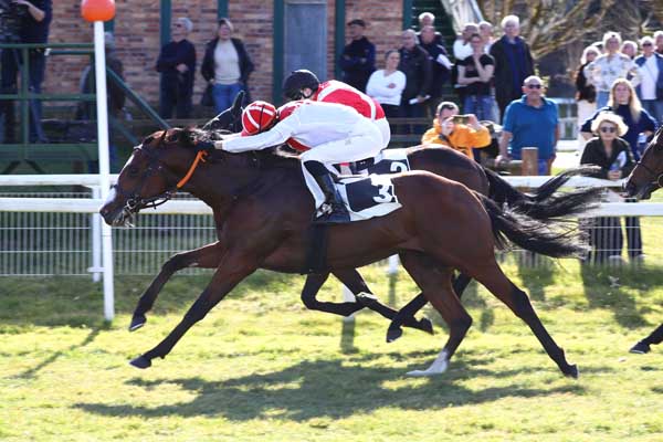 Photo d'arrivée de la course pmu PRIX DE L'HIPPODROME DE RAMBOUILLET à FONTAINEBLEAU le Vendredi 7 mars 2025