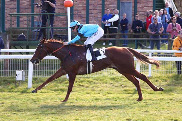 Photo d'arrivée de la course pmu PRIX DES ROCHERS DE FONTAINEBLEAU à FONTAINEBLEAU le Vendredi 7 mars 2025