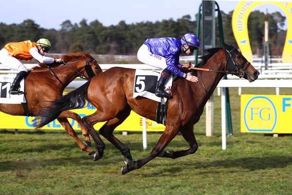 Photo d'arrivée de la course pmu PRIX DE MORET-SUR-LOING à FONTAINEBLEAU le Vendredi 7 mars 2025