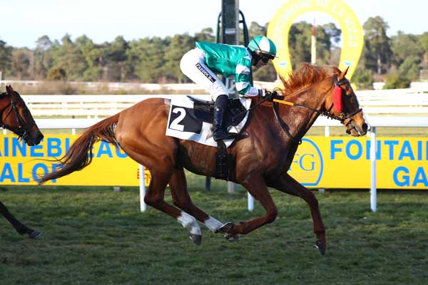 Photo d'arrivée de la course pmu PRIX DE LA FONTAINE DESIREE à FONTAINEBLEAU le Vendredi 7 mars 2025