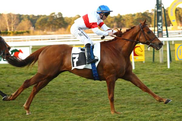 Photo d'arrivée de la course pmu PRIX ROSA BONHEUR à FONTAINEBLEAU le Vendredi 7 mars 2025