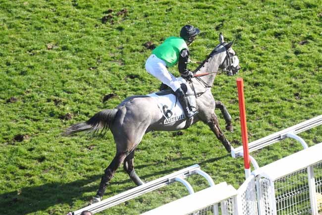 Photo d'arrivée de la course pmu PRIX TURCO à AUTEUIL le Samedi 8 mars 2025