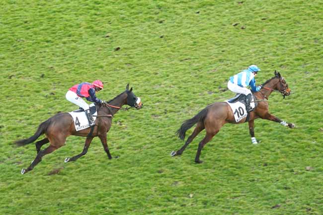 Photo d'arrivée de la course pmu PRIX LILIUM à AUTEUIL le Samedi 8 mars 2025