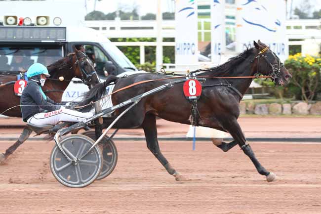 Photo d'arrivée de la course pmu PRIX ANDRE VIGUIER à CAGNES-SUR-MER le Dimanche 9 mars 2025