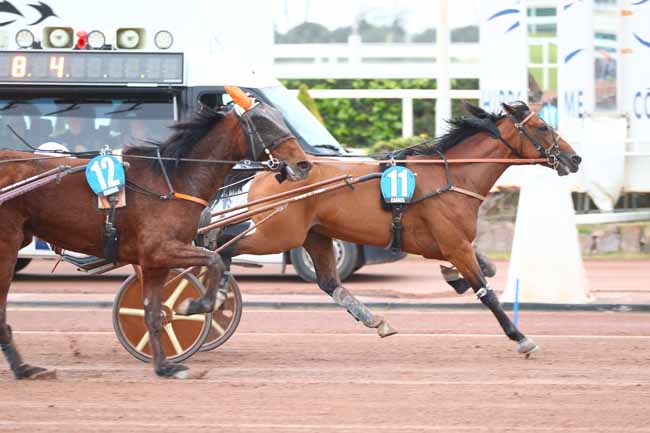 Photo d'arrivée de la course pmu PRIX DE CABOURG à CAGNES-SUR-MER le Dimanche 9 mars 2025