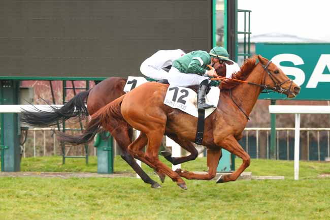 Photo d'arrivée de la course pmu PRIX DE MONTMARTIN à SAINT CLOUD le Mardi 11 mars 2025