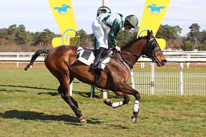 Photo d'arrivée de la course pmu PRIX DE NEMOURS à FONTAINEBLEAU le Mardi 11 mars 2025