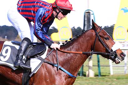 Photo d'arrivée de la course pmu PRIX GAUTIER DE LA SELLE à FONTAINEBLEAU le Mardi 11 mars 2025