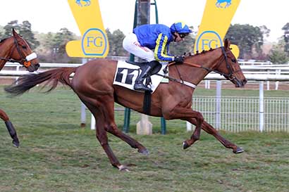 Photo d'arrivée de la course pmu PRIX COLONEL LAPADU-HARGUES à FONTAINEBLEAU le Mardi 11 mars 2025