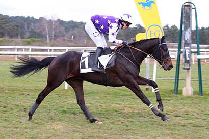 Photo d'arrivée de la course pmu PRIX JEAN SOUILHE à FONTAINEBLEAU le Mardi 11 mars 2025
