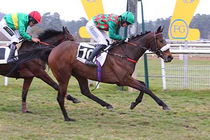 Photo d'arrivée de la course pmu PRIX DE DAMMARIE-LES-LYS à FONTAINEBLEAU le Mardi 11 mars 2025